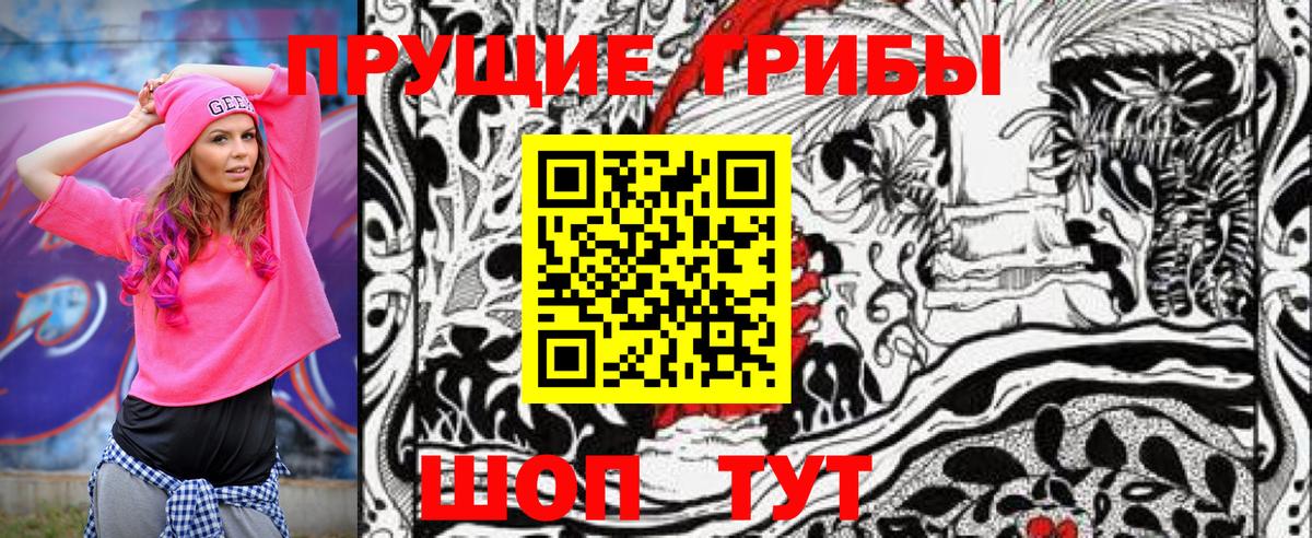 Галлюциногенные грибы Psilocybine cubensis Донецк