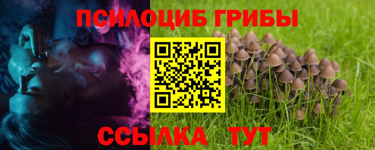 Донецк  как найти закладки  Вход с VPN  Галлюциногенные грибы мицелий  Псилоцибиновые грибы GOLDEN TEACHER 
